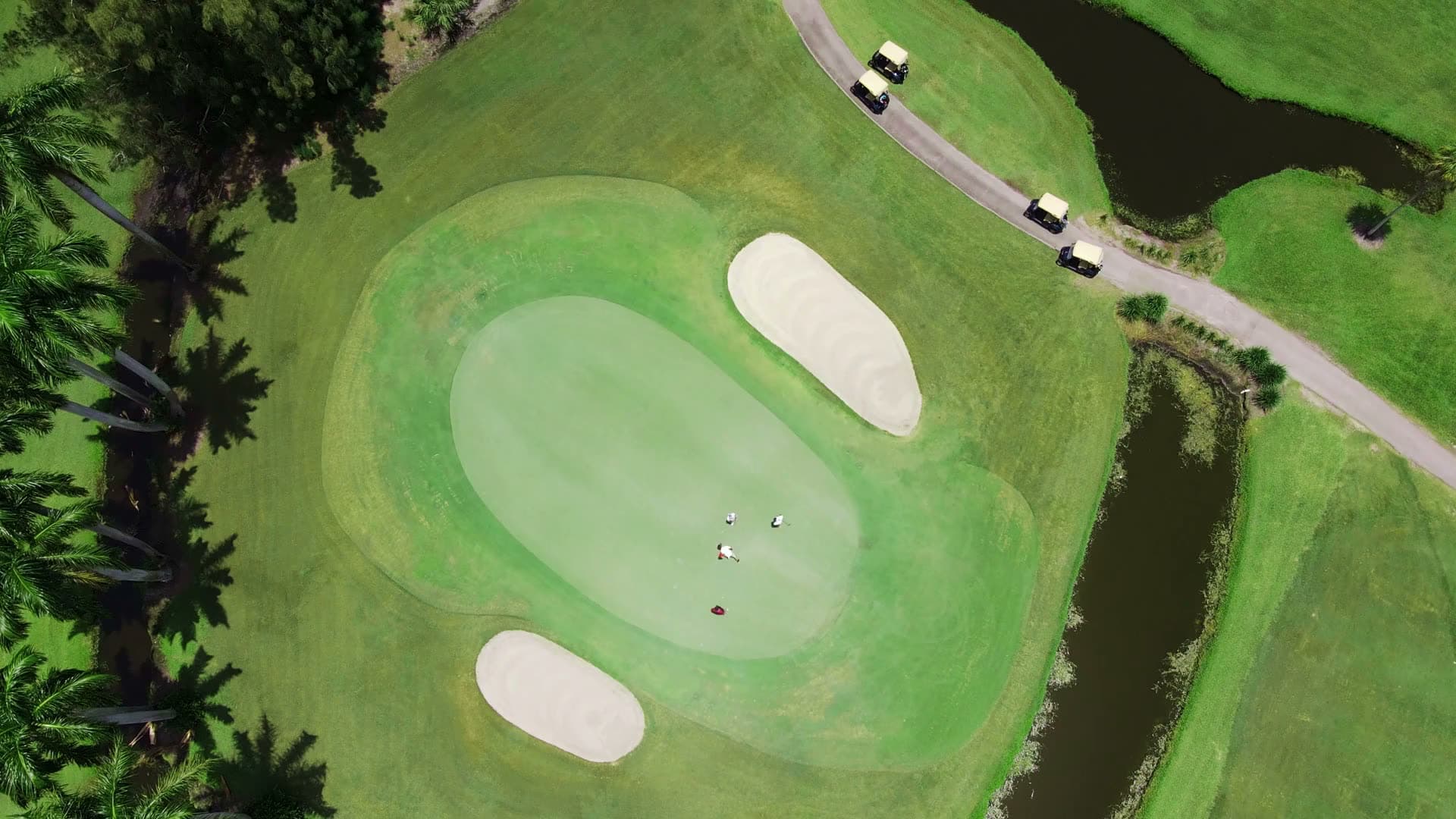A golf green and its bunkers from the air