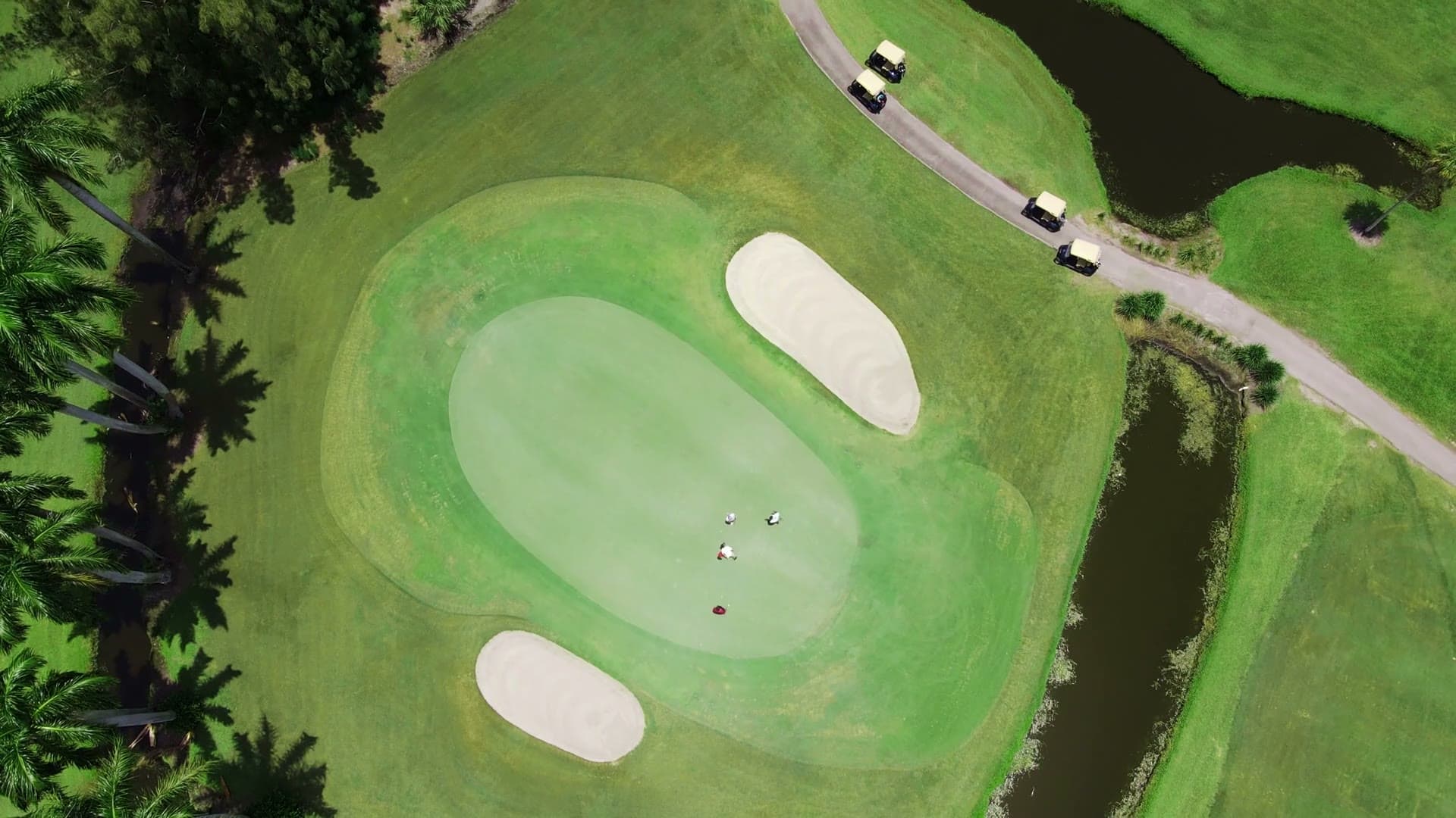 A golf green and its bunkers from the air